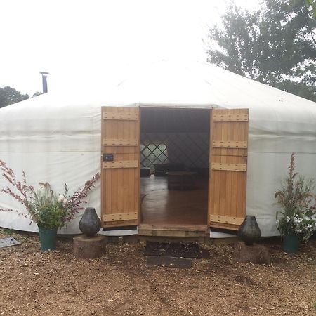 Silver Airstream Glamping & Rental Чічестер Екстер'єр фото